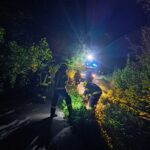 2024.08.20 Einsatzstichwort Baum über Straße